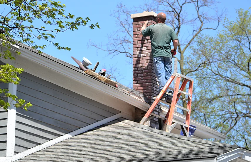 Chimney & Fireplace Inspections Services in Germantown, TN